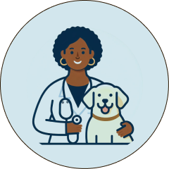 Veterinario chip